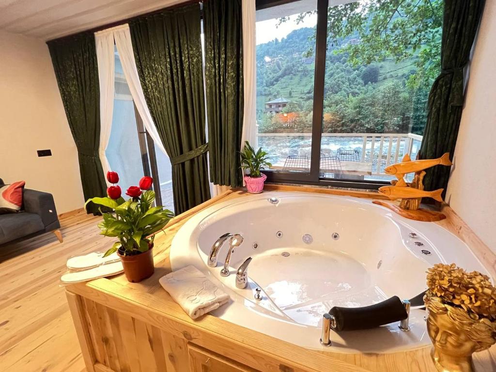 Příroda nedaleko hotelu