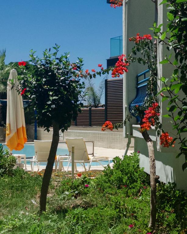 فضای داخلی One More Day Hotel در بدروم - تصویر ۳