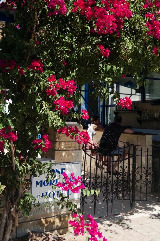 لابی و فضای عمومی One More Day Hotel - تصویر ۵