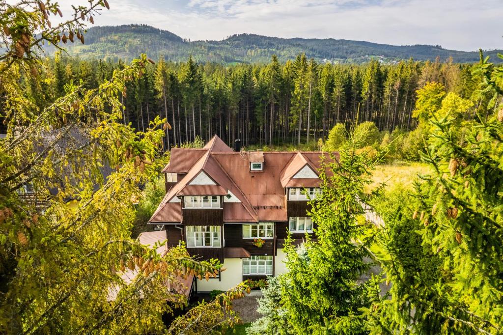 an aerial view of a house surrounded by trees at Willa Zwolakówka in Istebna