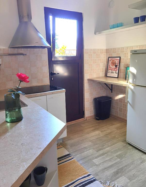 Kuchyň nebo kuchyňský kout v ubytování Villa Seashell