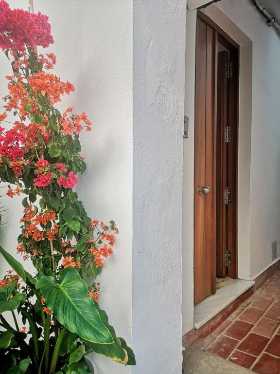 a plant with red flowers next to a door at Erizo 3 loft diafáno en el Centro Histórico in Tarifa