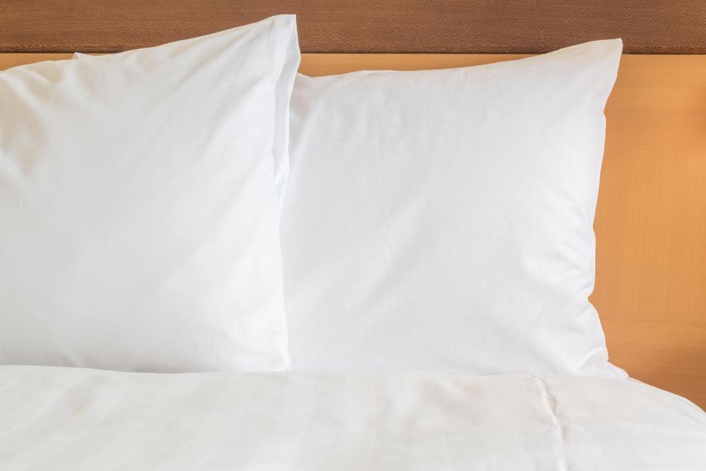 Holiday Inn & Suites Green Bay Stadium, an IHG Hotel - 