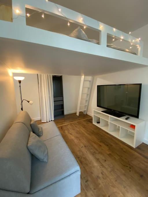 un salon avec un canapé et une télévision à écran plat dans l'établissement Appartement de charme près du Stade de France, à Saint-Denis