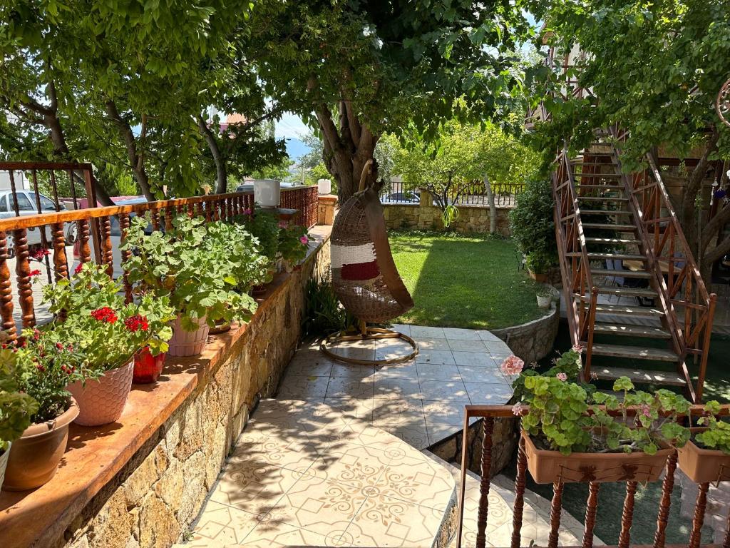 Κήπος έξω από το Sinter Terasse House Hotel