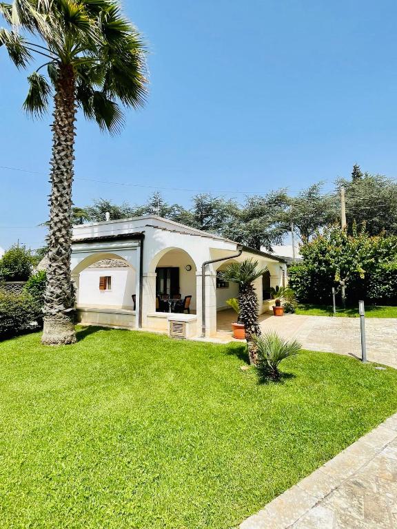 a house with a palm tree in a yard at Trulli Ada in Noci