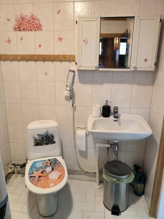 a bathroom with a toilet and a sink at Oravamökki in Sotkajärvi