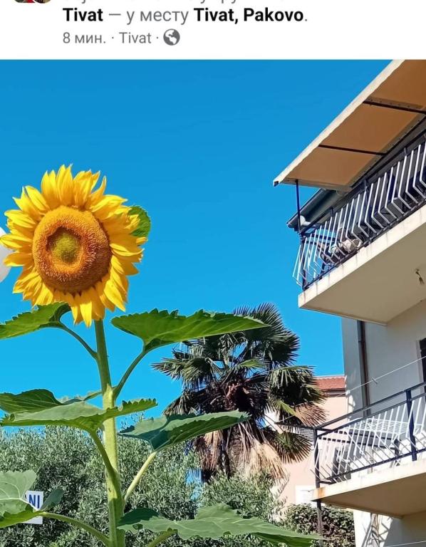 Sea and Sunshine - 15