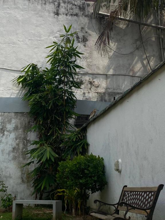 Zahrada ubytování Sky Hostel Negombo