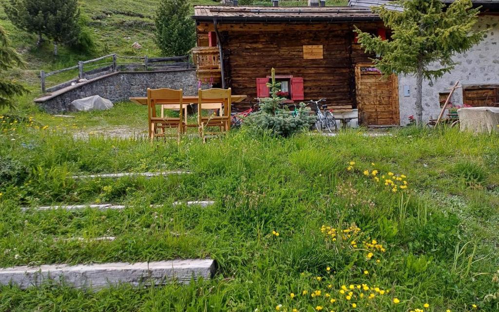 a wooden cabin with a table and chairs in the grass at Chalet Renzo Livigno Il lusso del silenzio in Livigno
