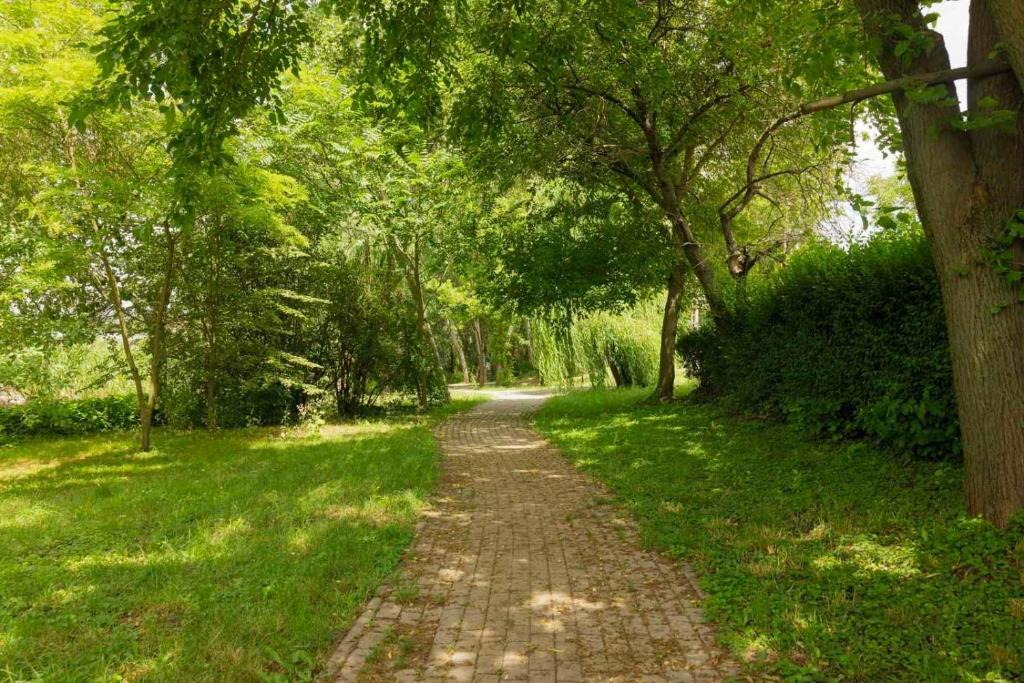 Zahrada ubytování Nyárfás Panoráma Vendégház