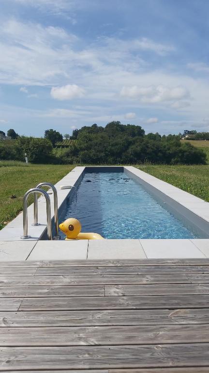 une piscine avec un canard jaune à côté d'une terrasse en bois dans l'établissement Un loft original au milieu des vignes, à Lugasson