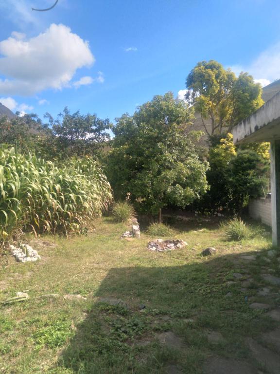 Zahrada ubytování Silic Hostel Camping