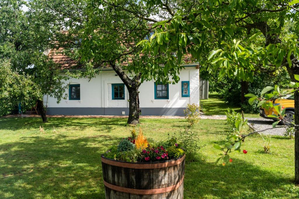 Zahrada ubytování Stüble Loft
