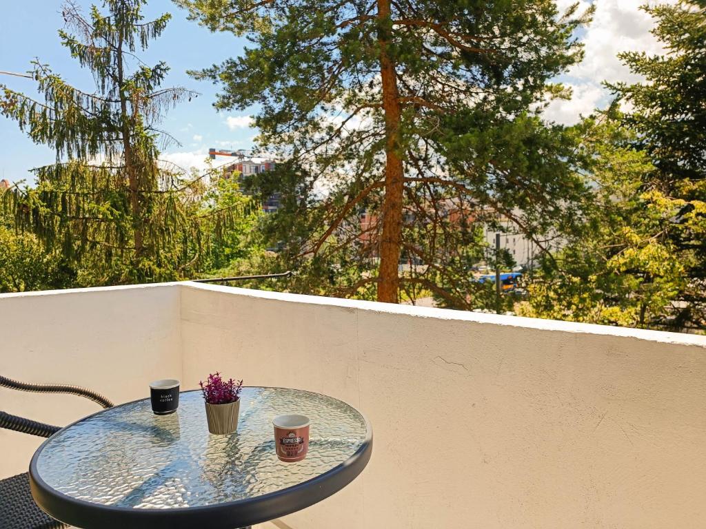 Fotografie z fotogalerie ubytování Vitosha Apartment v Sofii
