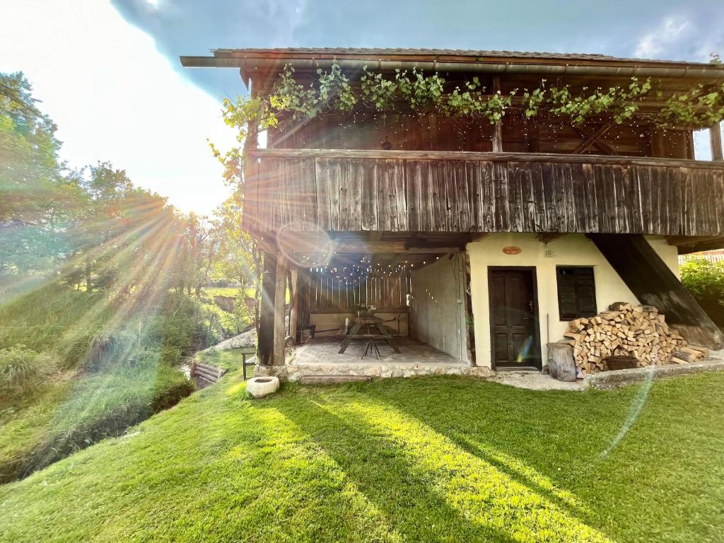 Zahrada ubytování House 44