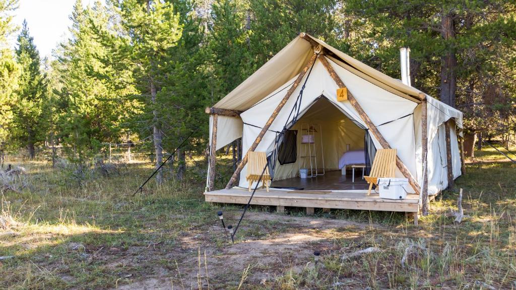 Zahrada ubytování Yellowstone Safari Camp