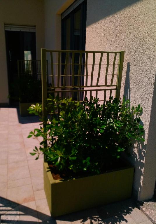 Zahrada ubytování B&B Monte Bo Biella