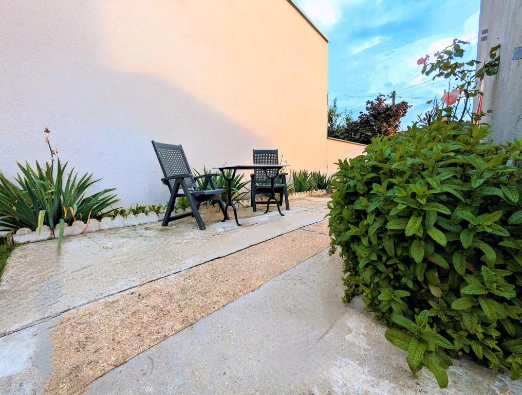 Κήπος έξω από το Conflans fin d'Oise bis
