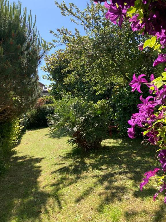 un jardin avec des fleurs violettes, des arbres et de l'herbe dans l'établissement Maison avec grand jardin et terrasse dans quartier de la Bénédictine, à Fécamp