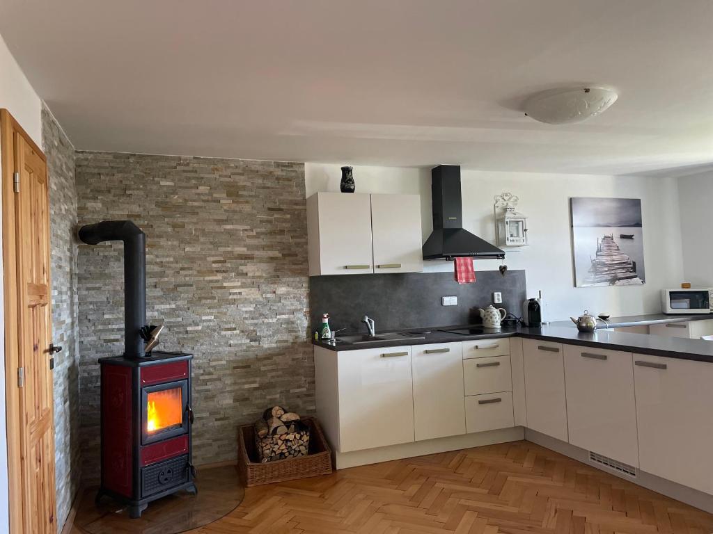 Kuchyň nebo kuchyňský kout v ubytování Apartmány HÁJOVNA Lipno