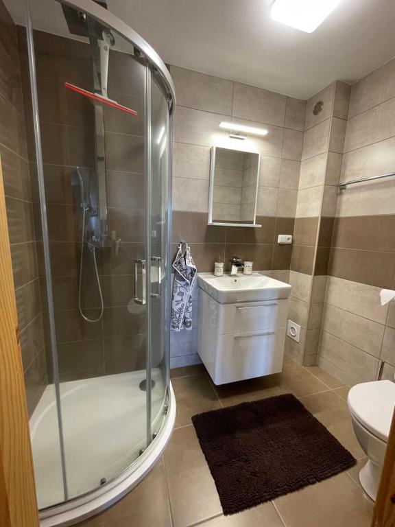 Koupelna v ubytování Apartmány HÁJOVNA Lipno