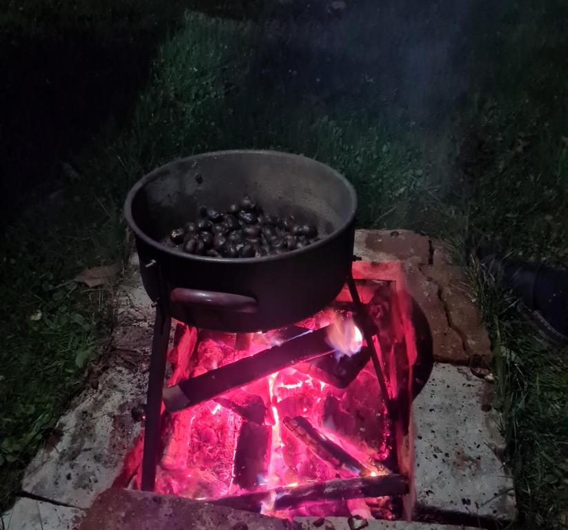 Fotografie z fotogalerie ubytování Soba tete Tile - Hiša ob gozdu v destinaci Ptuj