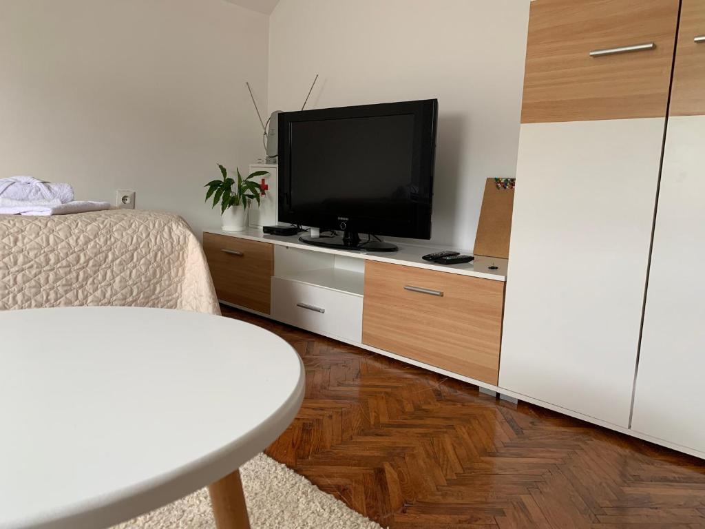 TV a/nebo společenská místnost v ubytování Pansion "Dušica"