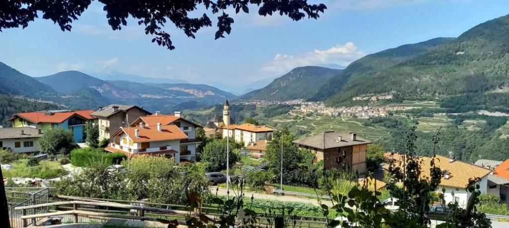 Příroda nedaleko apartmánu