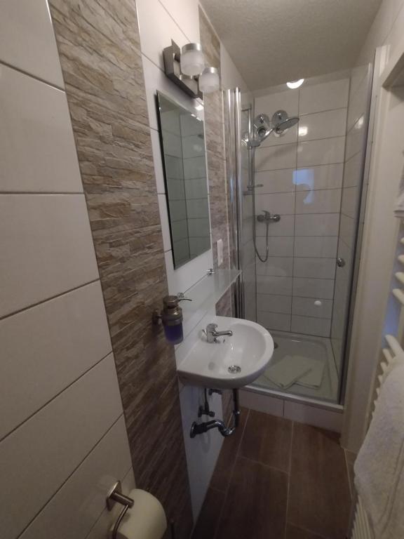 Koupelna v ubytování apartment-bb