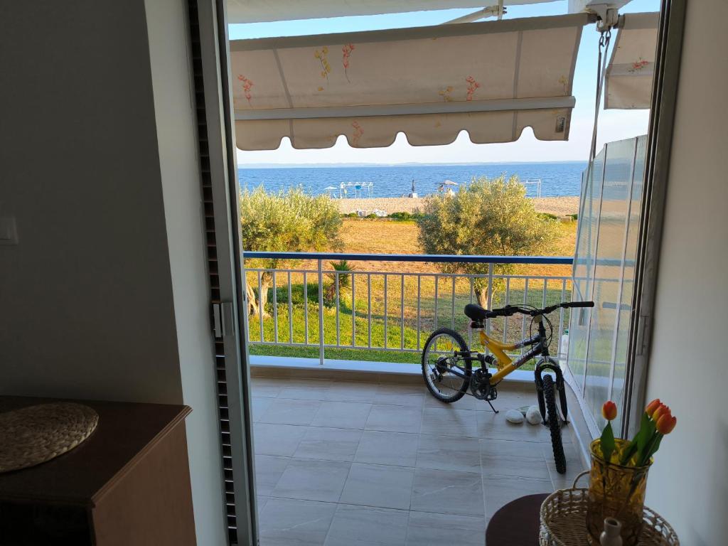 Balkón nebo terasa v ubytování Tropico House
