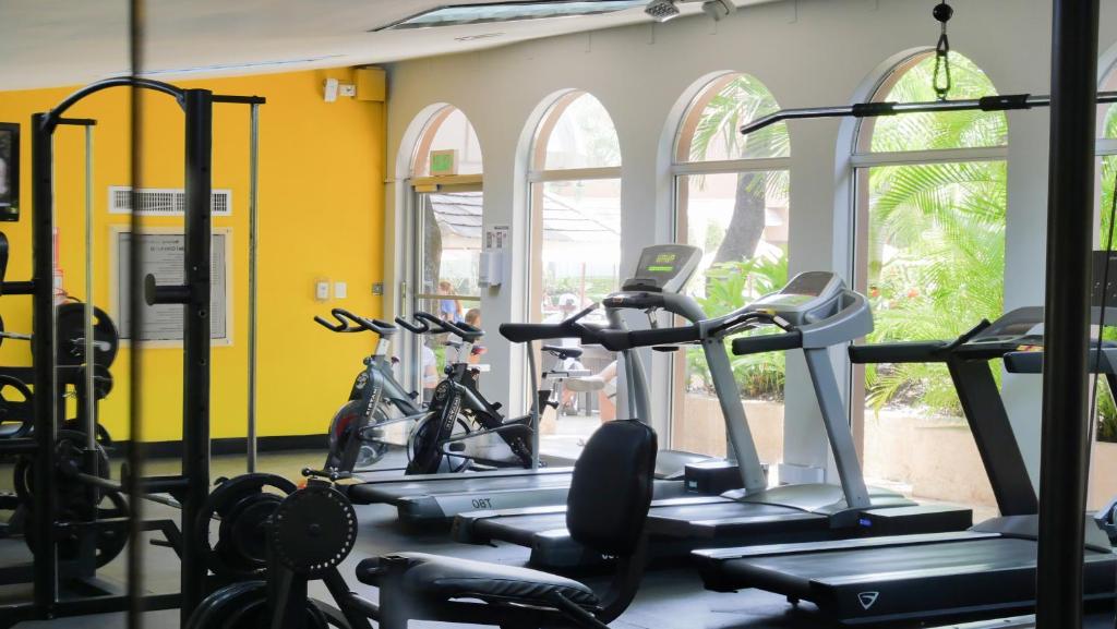 Fitness centrum a/nebo fitness zařízení v ubytování Barceló Santo Domingo