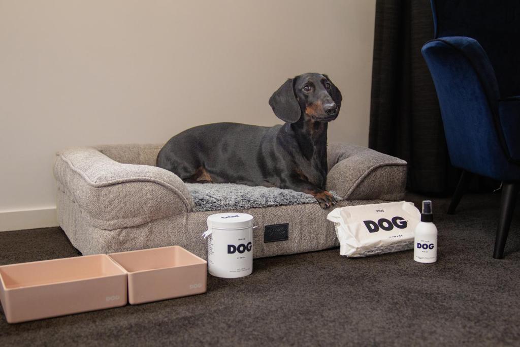 The Sebel Canberra Civic - Resim 40