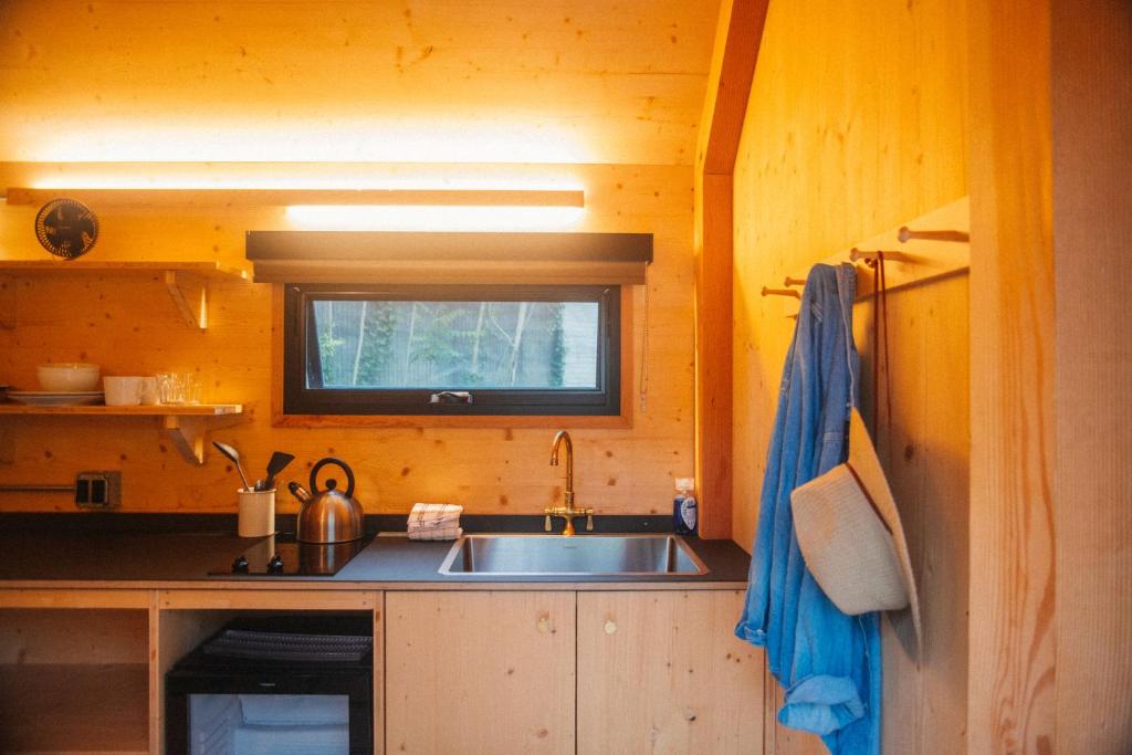 Johnson's Beach Cabins and Campground - Tiny Cabin - Queen Kitchenette