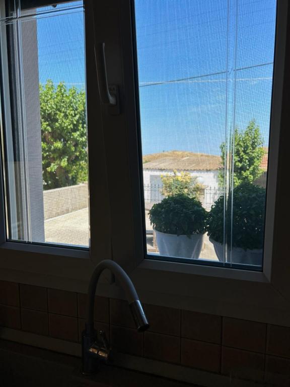 Naturlandskabet i nærheden af lejligheden