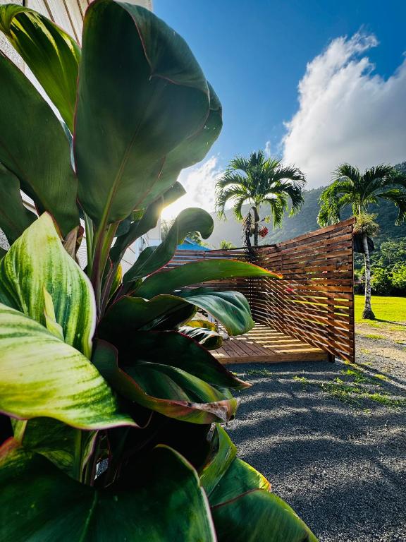 Ka'ivai Lodge - photo 7 - Moorea, Polynésie