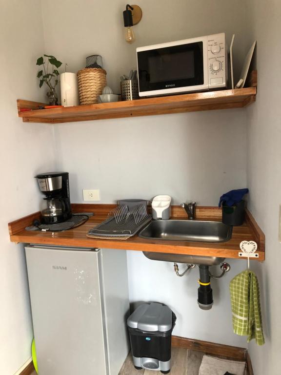 a kitchen with a sink and a microwave on a shelf at CasaSur- 37Robles in Villa La Angostura
