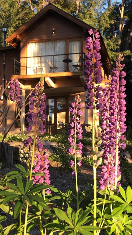 a group of purple flowers in front of a house at CasaSur- 37Robles in Villa La Angostura