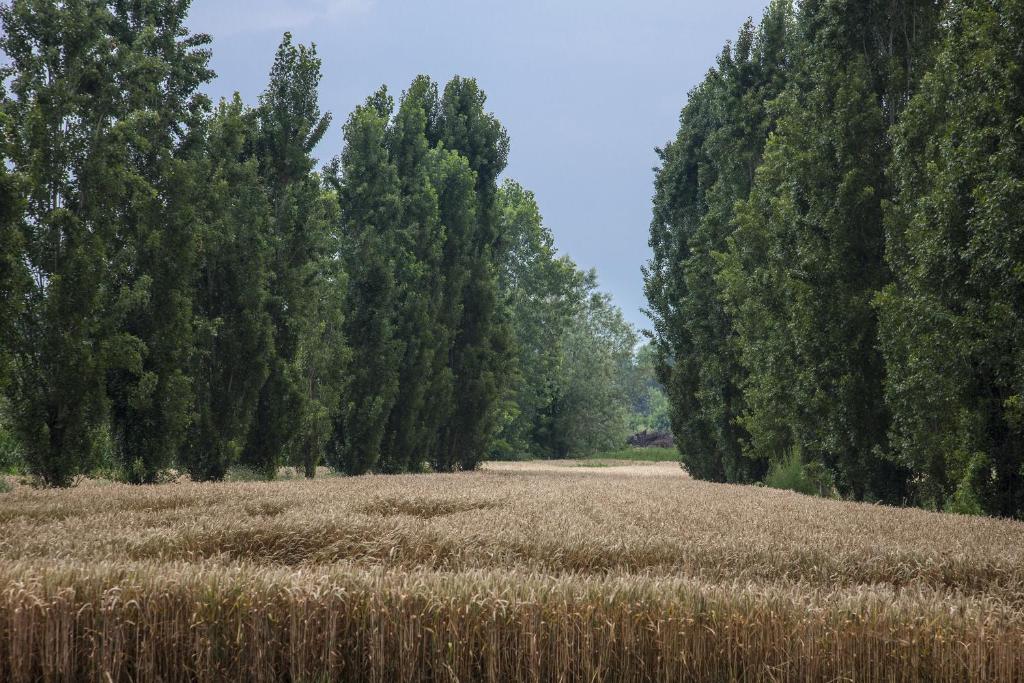 Przyroda w pobliżu tego ośrodka wypoczynkowego