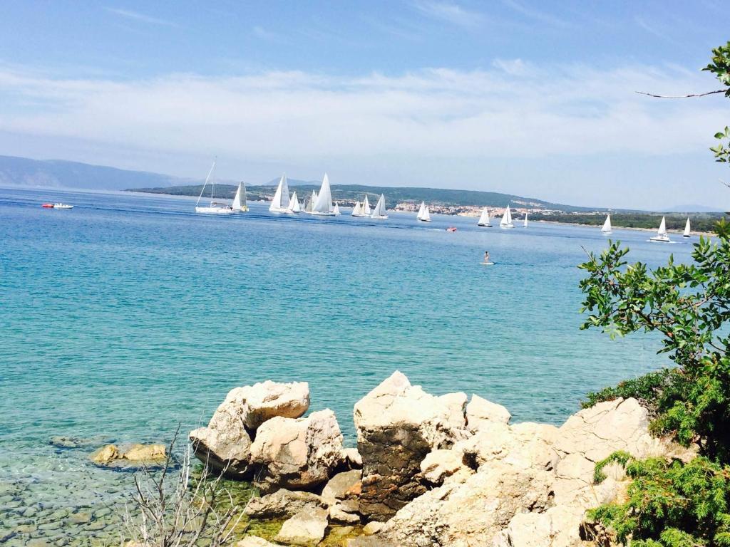a group of sailboats on a large body of water with rocks at Apartments u Kapetana in Punat