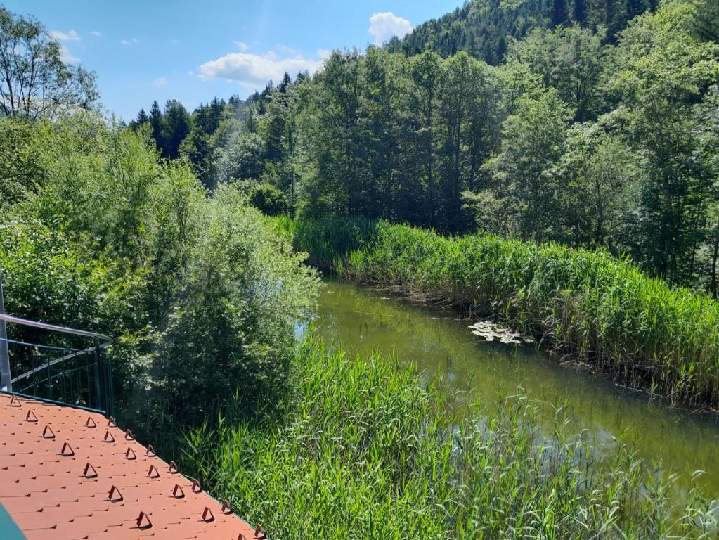Příroda nedaleko apartmánu