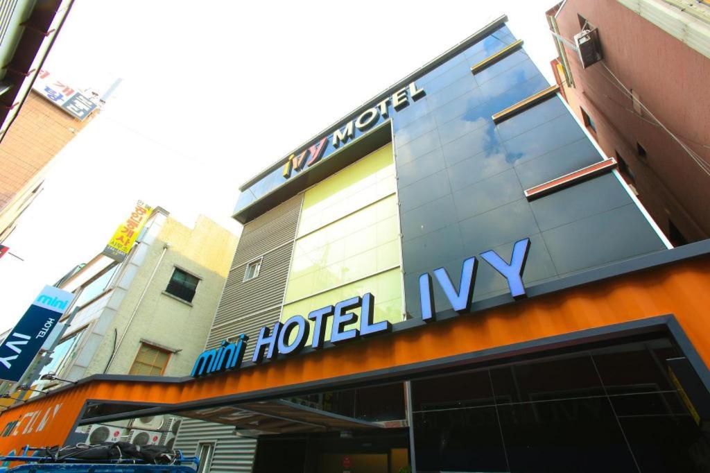 mini hotel IVY_1
