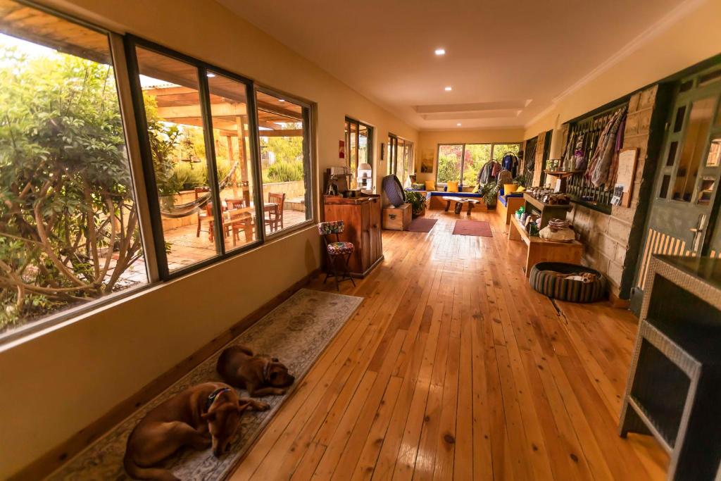 Balkón nebo terasa v ubytování Mount Kenya Farm Stay