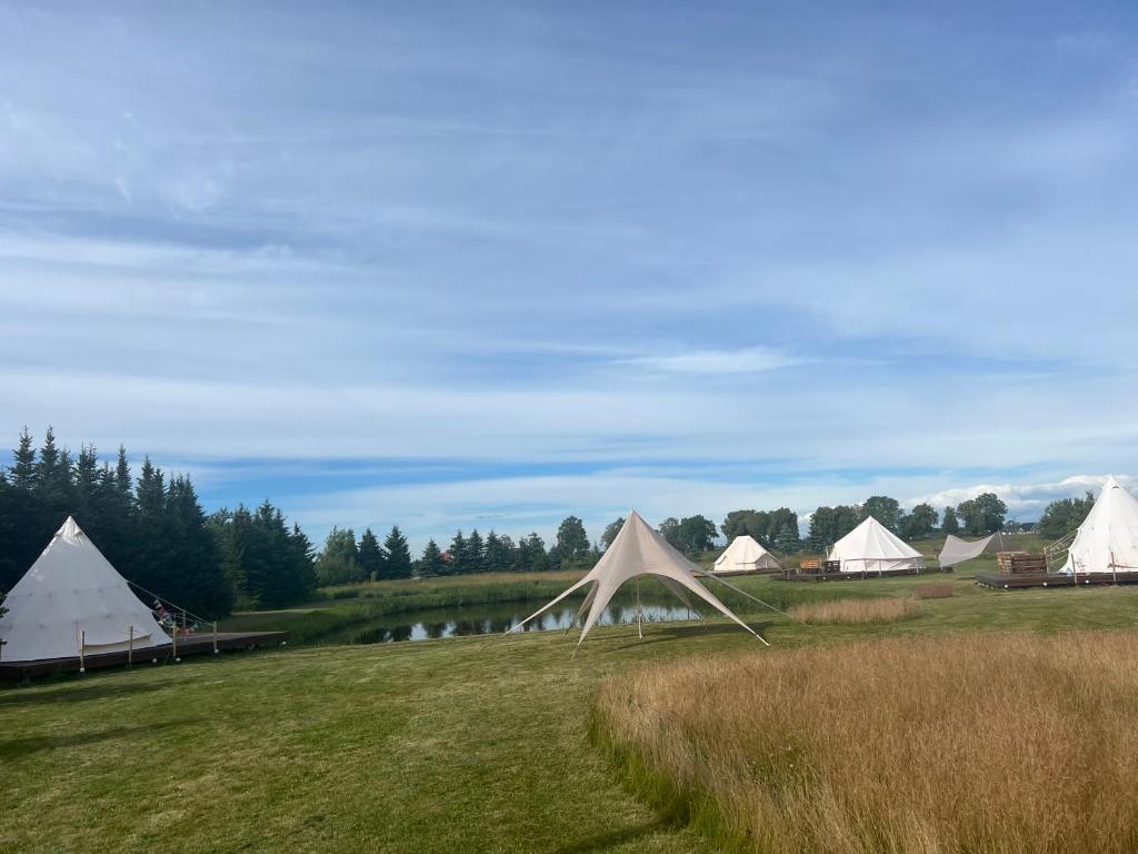 Příroda nedaleko luxury tent