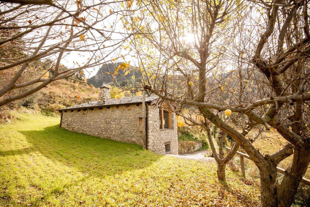 Zahrada ubytování R de rural - Borda del Mollà