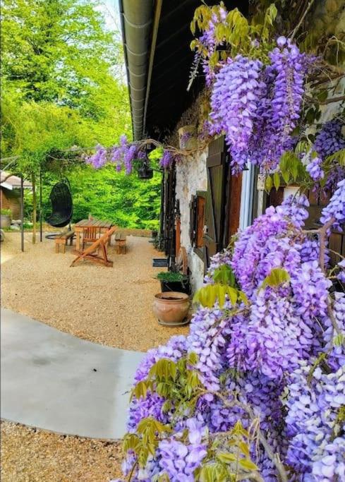 Une bande de fleurs violettes suspendues à un bâtiment dans l'établissement Gîte La Bergerie et sa piscine chauffée, à Meyrieux-Trouet