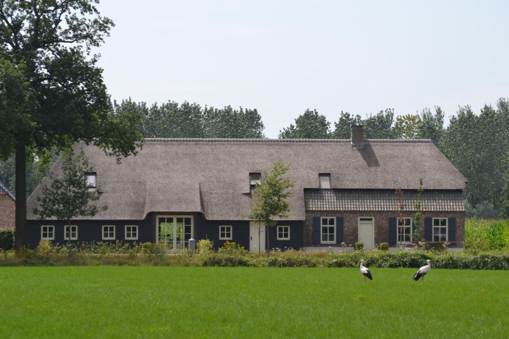 De Bus的住宿－Bed & Breakfast de Bimd Hoeve，两只鸟站在房子前面的草上