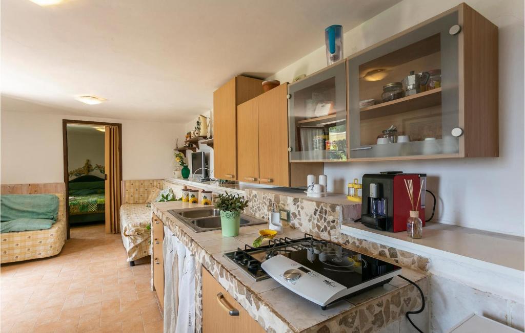 A kitchen or kitchenette at Nice Home In Bassano Romano With Wifi