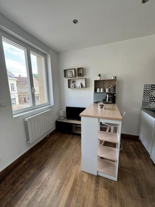 Cette chambre comprend une cuisine avec un comptoir et une fenêtre. dans l'établissement Studio cosy - Hyper centre, à Valenciennes