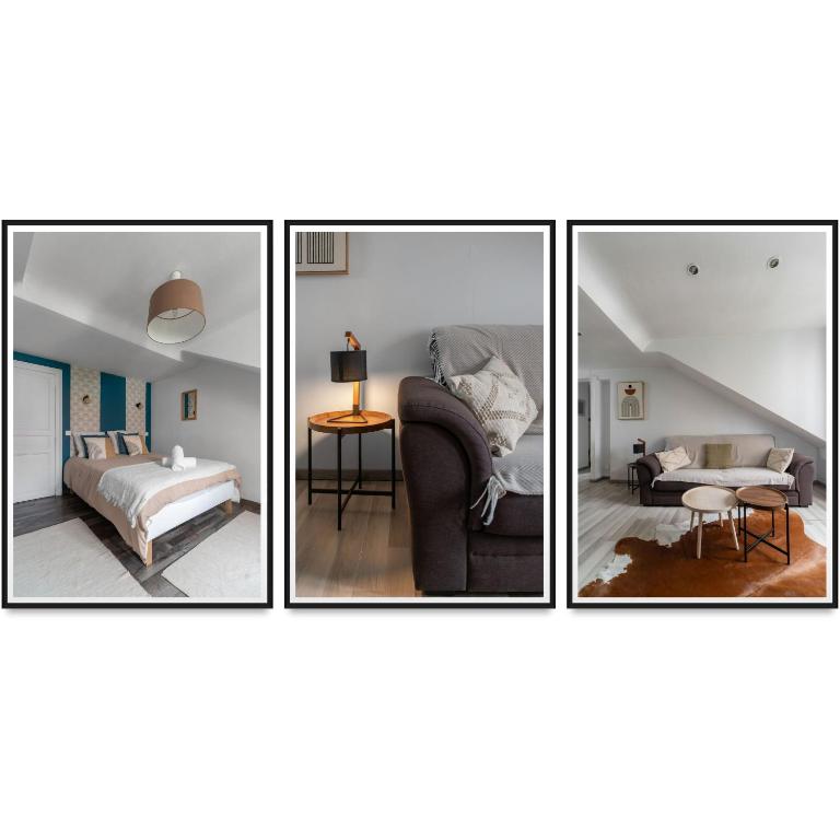quatre photos d'un salon et d'une chambre dans l'établissement Le Doumer - Charmant 2 pièces en Centre Ville, à Vichy